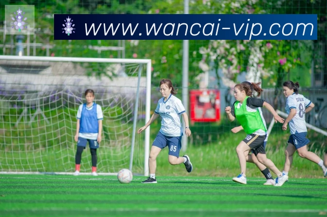 万彩官网荣誉